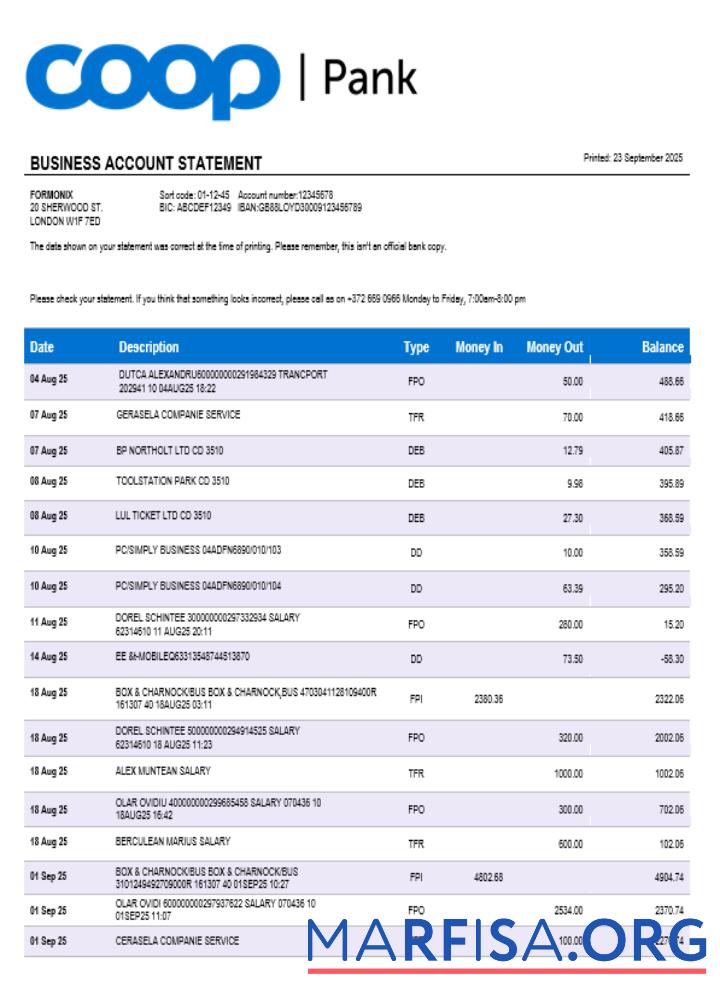 Blank Coop Pank company checking account statement Word and PDF template